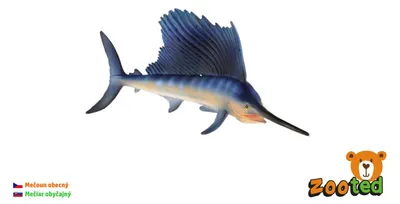 Productafbeelding van Mečstaart (Poecilia sphenops), plasticmodel, 16 cm