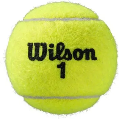 Zdjęcie produktu dla Piłki Wilson WRT115000
