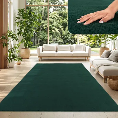A living room scene with a large green rug, sofas, and plants.