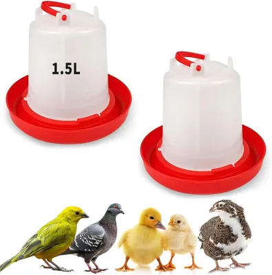 Produktbild von Tränke für Geflügel, 1,5 Liter, 2 Stück, mit Handgriff, für Küken