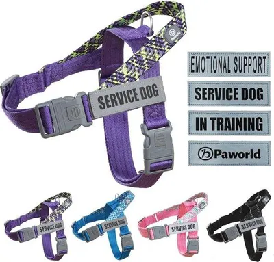 Produktbild von Emotionale Hundeschule-Set mit reflektierenden Patches – Trainings- und Sicherheitsausrüstung für Hunde