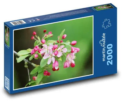Obrázek produktu pro Puzzle 2000 Květ jabloně - martinpuzzle