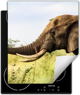Produktbild von DarHaus Herdabdeckplatte 45x52 cm Anti Rutsch Matte Aufrollbar, Elefant