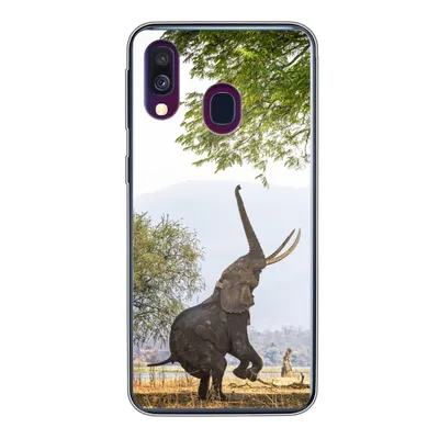 Produktbild von MuchoWow® Handyhülle Schutzhülle Hülle für Samsung Galaxy A40 Elefant - Baum - Blätter Silikon Softcase Handy Hülle - Handy-Tasche