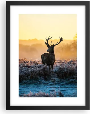 Produktbild von Gerahmtes Poster - Schwarzer Rahmen - Feld Nebel Natur Baum - 30x40 cm - Wand Bild - Wanddeko - Wandbilder - Kunstposter - Wandposter - Bilderrahmen - Bilder - Kunstdruck - Wandbild - P2BPA30x40-2428