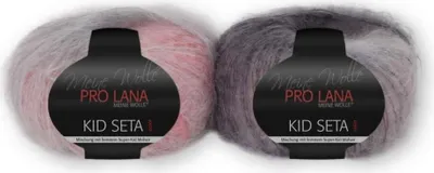 Produktbild von Pro Lana Kid Seta Color 25g 180