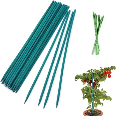 Immagine prodotto di Picchetti in bambù da 30 cm, diametro 5 mm, 50 fascette verdi, per sostegno piante