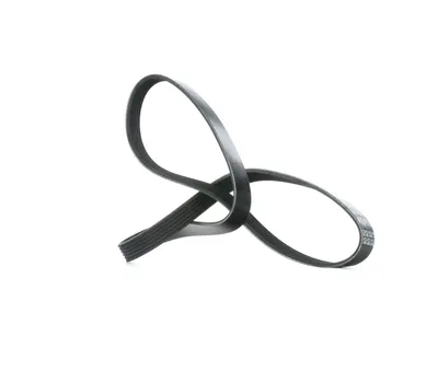 Produktbild von DAYCO Keilrippenriemen 1180,0mm für VW POLO (9N) 6PK1180