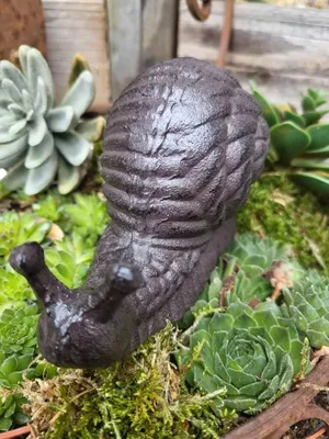 Produktbild von Gusseisen Schnecke Snaili