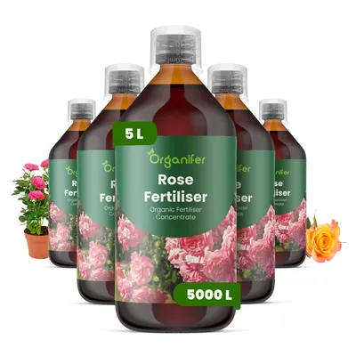 Produktbild von Rosen Flüssigdünger 5x1L – 3-4-3 NPK – Flüssig-Pflanzendünger für Rosen – Fördert langanhaltende Blüte, Vitalität & kräftige Pflanzen – Organifer