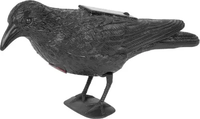 Produktbild von Vogelabwehr Rabe schwarz, solarbetrieben, Ton