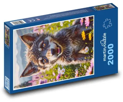 Obrázek produktu pro martinpuzzle - Puzzle 2000 - Vlk