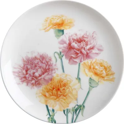 Produktbild von FLORIADE Teller Nelke, Bone China Porzellan, in Geschenkbox