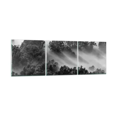 Produktbild von Bilder auf glas - 3 Teile - Schwarzweiß Bäume Nebel - 120x40cm - Glasbilder - Wandbilder - Bilder - zum Aufhängen bereit - Wanddekoration aus Glas - Glas Bilder - Wandbild auf Glas - GCA120x40-4510