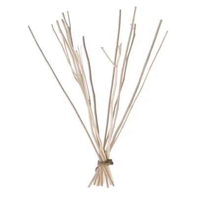 Image de Fagot de branches de caïeu - petit