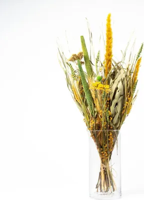 Produktbild von artplants.de Trockenblumenstrauß Eleanor mit Rispen, gelb-grün, 65 cm, Ø14 cm - Strauß getrocknete Blumen