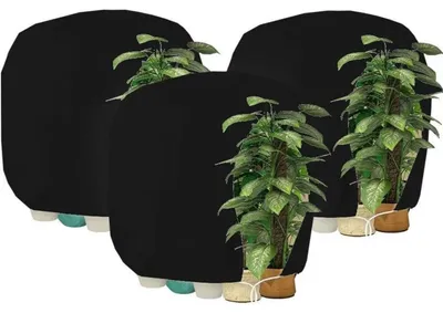 Productafbeelding van Winterbescherming voor planten, 190x220 cm, zwart, 3 stuks