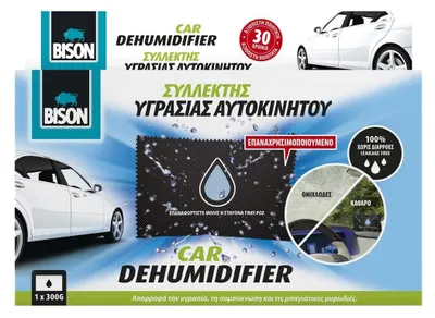 Image de AIR MAX CAR absorbeur d'humidité pour voiture 300 g