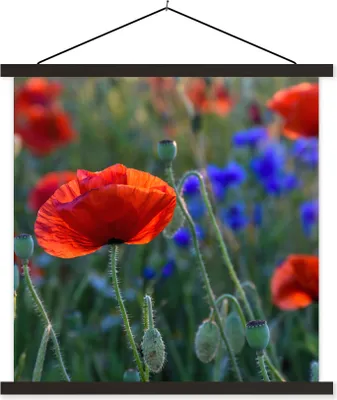 Produktbild von MuchoWow® Textilposter Bunte Mohnblumen in den Niederlanden 40x40 cm mit schwarzem Rahmen - Fotos