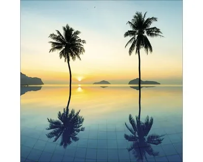 Produktbild von Glasbild Palms On Beach II 30x30 cm