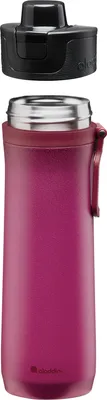 Produktbild von ALADDIN Sports Thermavac™  0.6L, Burgund