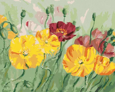 Produktbild von Zuty - Malen nach Zahlen - BUNTE MOHNBLUMEN, 40x50 cm, ohne Keilrahmen