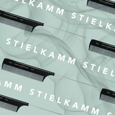 Produktbild von HERCULES SÄGEMANN - 180R-500R Stielkamm mit Nadelstiel | Kamm aus handgeschliffe