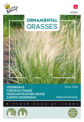 Produktbild von Buzzy Ornamental Grasses Zartes Federgras 'Pony Tails' Samen - Ca. 0,1 gr | Buzzy_083080