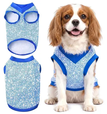 Produktbild von Kühlweste für Hunde, atmungsaktiv, Sommer, blau, Größe XL