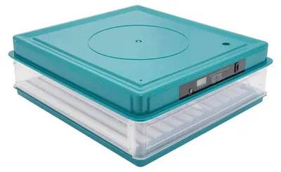 Image de Couveuse automatique, capacité de 32 œufs, écran LCD, couleur verte