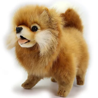Produktbild von Plüsch Zwergspitz Hund Pomeranian 43cm Realistisch Premium Deko Stofftier