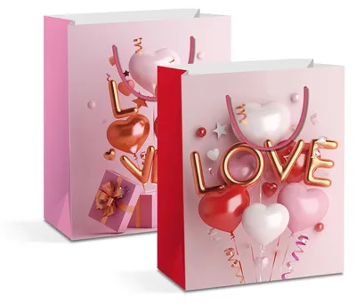 Imagen del producto de Bolsa de regalo - papel - 265 x 127 x 330 mm - 2 modelos / paquete, paquete de 12 unidades