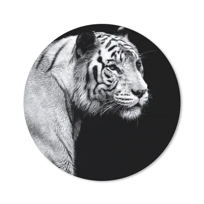 Produktbild von MuchoWow® Mauspad Mousepad Tierprofil Tiger in schwarz und weiß 40x40 cm - Mousepads - Maus Mat - Pad - Mausunterlage - Schreibtisch Accessoires