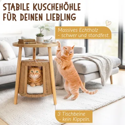 Produktbild von Petigi Rattan Katzentisch Beistelltisch Katzenhöhle Katzenbett Couchtisch Natur