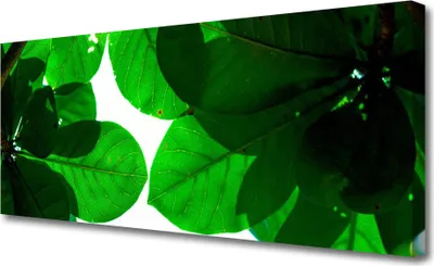 Produktbild von Tulup Leinwand-Bilder 125x50 Wandbild Canvas Kunstdruck Blätter Pflanzen