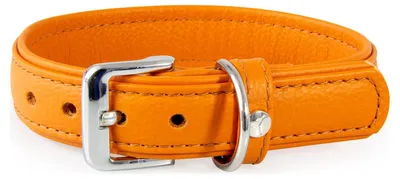 Produktbild von Das Lederband Hundehalsband Denver cognac/cognac, Länge: 50 cm
