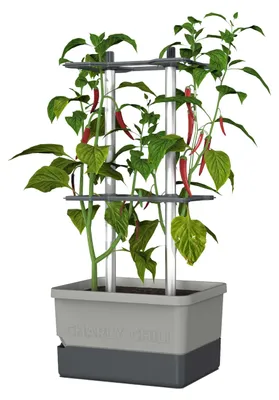 Produktbild von Charly Chili-Topf mit Bewässerungssystem und Kletterhilfe