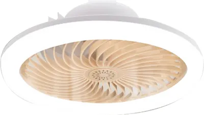 Image de Télécommande intelligente LED Large Wind Fan Light E27 Screw Dimmable Bedroom Aromatherapy Lighting Fan Light