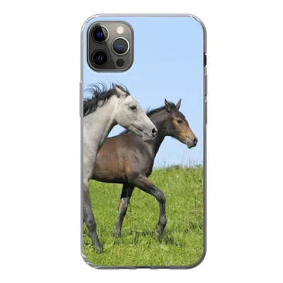 Produktbild von MuchoWow® Handyhülle Schutzhülle Hülle für iPhone 13 Pro Max Pferde - Tiere - Gras Silikon Softcase Handy Hülle - Mobiltelefon
