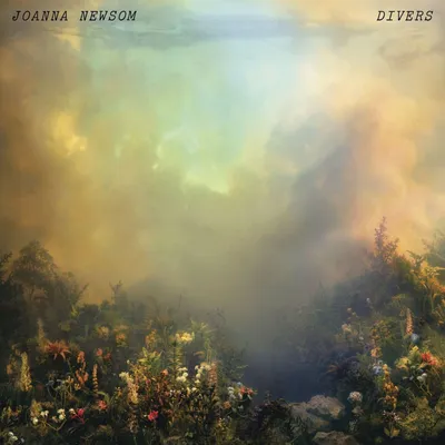 Image de Newsom,Joanna-Divers (2LP)