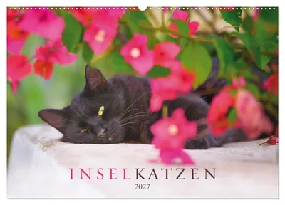 Produktbild von Inselkatzen (Wandkalender 2027 DIN A2 quer), CALVENDO Monatskalender