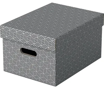 Immagine prodotto di Esselte 628283 3 Esselte Home Aufbewahrungsboxen 17,5 l grau 26,5 x 36,5 x 20,5 cm
