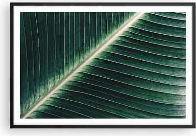 Produktbild von Gerahmtes Poster - Schwarzer Rahmen - Grün Blatt Tropisch - 91,5x61 cm - Wand Bild - Wanddeko - Wandbilder - Kunstposter - Wandposter - Bilderrahmen - Bilder - Kunstdruck - Wandbild - P2BAA91x61-4126