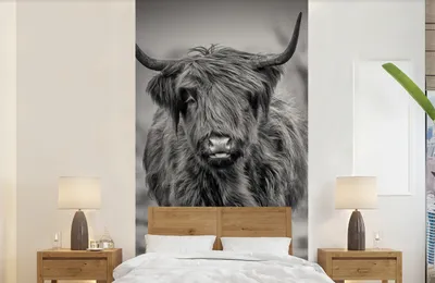 Produktbild von Fotobehang Schotse Hooglander Portret, Schwarz Weiß, 120 x 240 cm