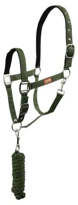 Immagine prodotto di Set Premiere con moschettone e cavezza verde Pony verde Pony