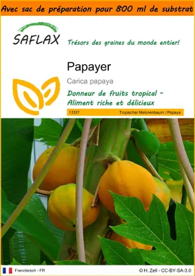 Image de SAFLAX Garden in the bag - Papayer - 30 graines - Carica
