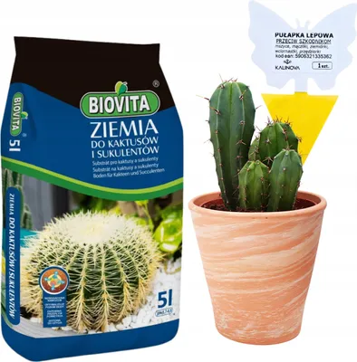 Image de Terre pour Cactus et Succulentes 5L - Pr?te ? l'emploi - Engrais inclus - Avec pi?ge