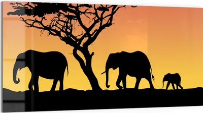 Produktbild von DEQORI Glasbild Echtglas 100x50 cm 'Afrikanischer Abend' Wandbild Bild modern Deko