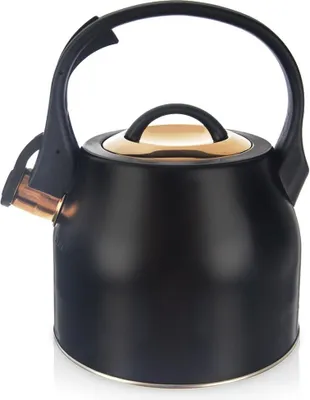 Image de Bouilloire noire dorée en acier avec sifflet pour faire bouillir de l'eau sur la cuisinière