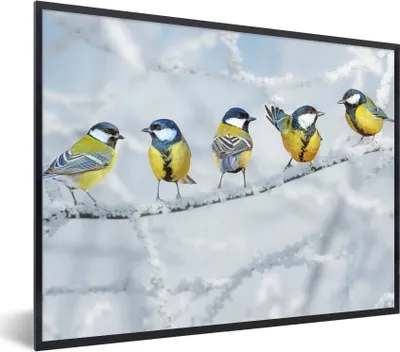 Produktbild von MuchoWow® Gerahmtes Poster Vogel - Kohlmeise - Winter - Schnee - Zweige 40x30 cm - Poster mit Schwarzem Bilderrahmen Wandposter Rahmen Foto Bilder - Kunstposter - Wanddekorationen